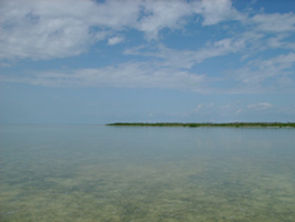 Flats & Fly Fishing