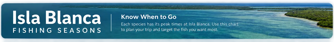 Isla Blanca Fishing Seasons - Know When to Go