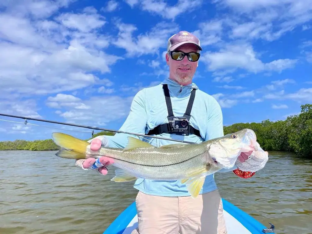 Snook fishing along the mangrove roots near Playa Mujeres