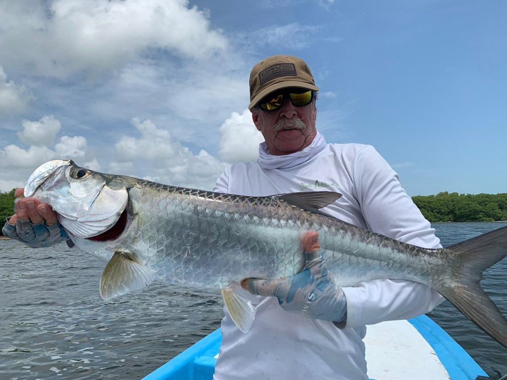 Fly Fishing Baby Tarpon