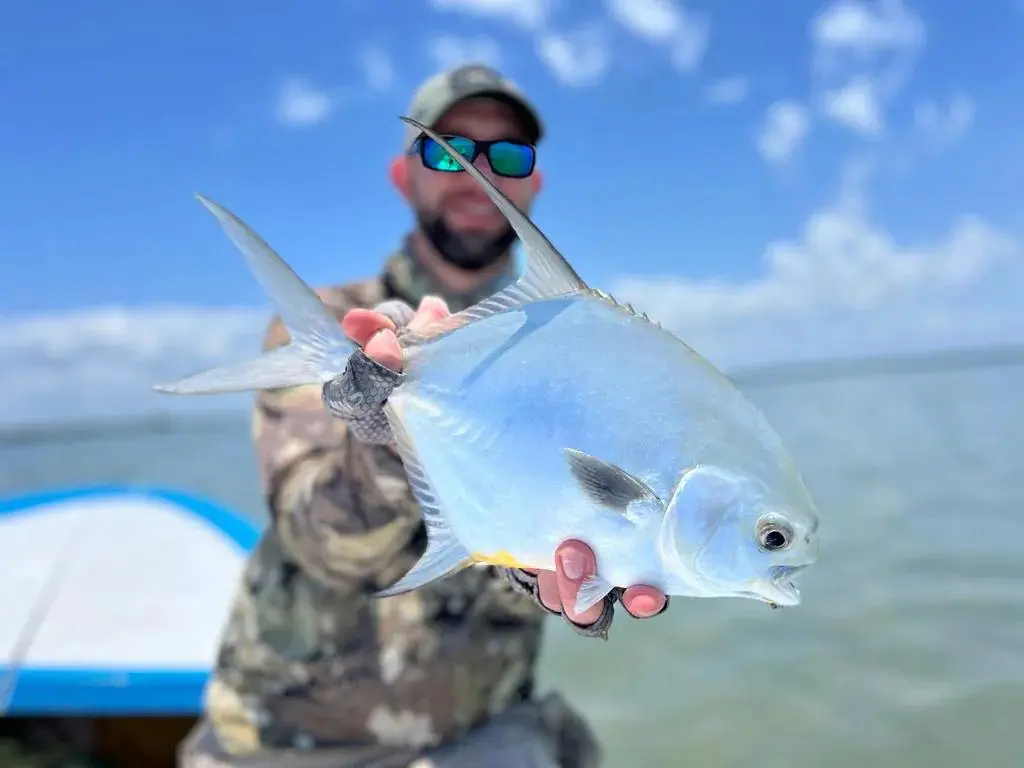 Permit caught on fly while fishing Isla Blanca near Cancun