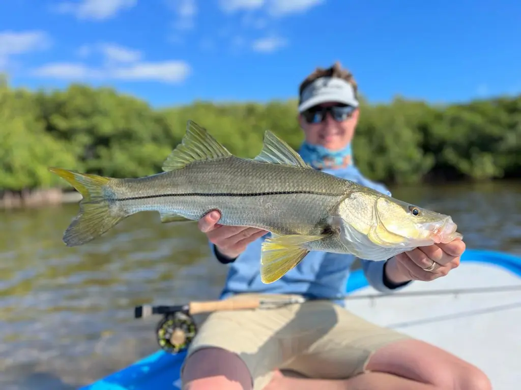 Snook season is all year long in Isla Blanca
