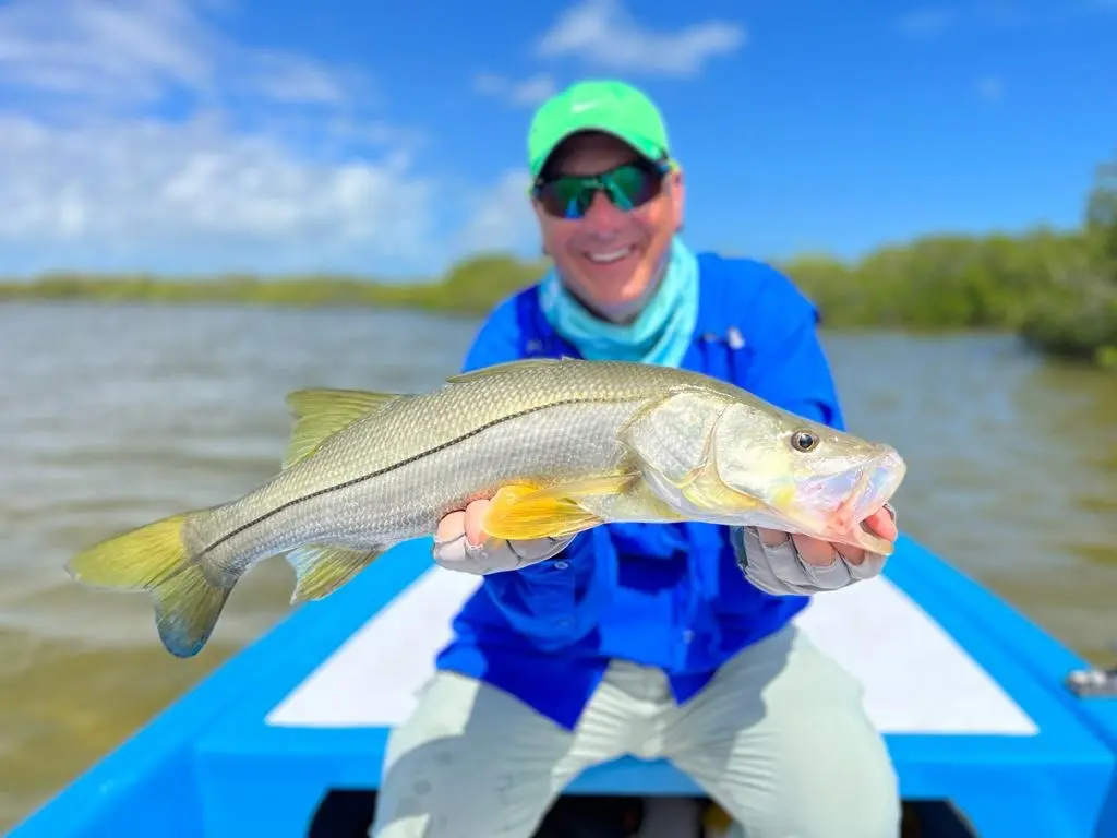 Snook caught on fly while fishing Isla Blanca near Cancun