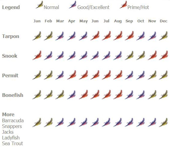 Isla Blanca Fly Fishing Seasons Chart
